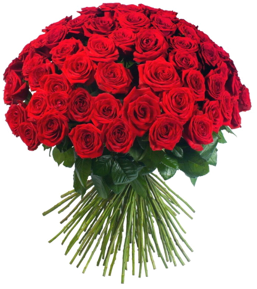 С днём Рождения!